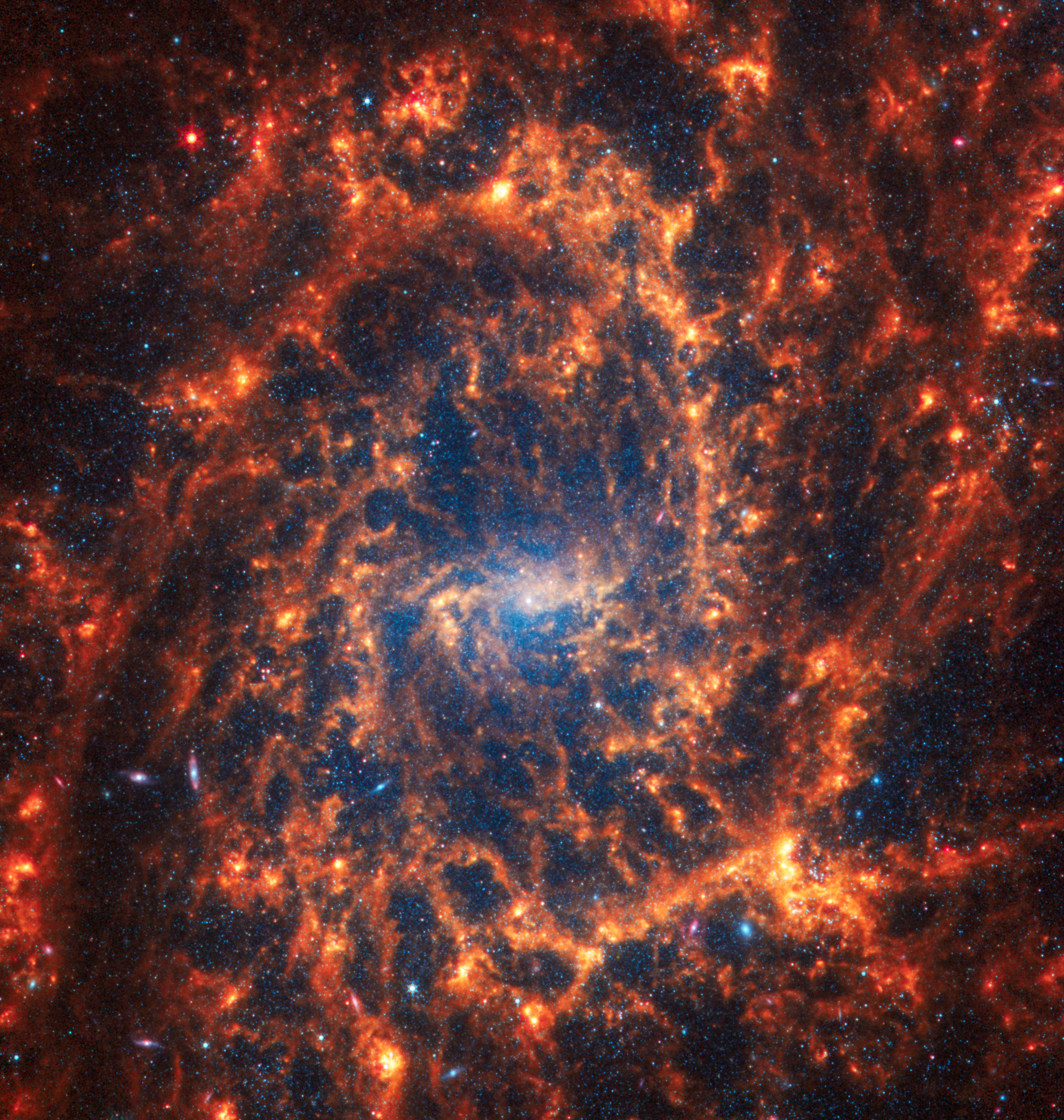 Imagen de la galaxia espiral NGC 2835, ubicada a 35 millones de años luz en la constelación de la Hidra, resaltando su estructura majestuosa y la armonía de sus brazos espirales. 