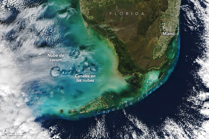Imagen satelital captada el 30 de enero de 2024 sobre el Golfo de México y los Cayos de Florida en la que se aprecian formaciones de cavum y de canales en las nubes. La tierra aparece de color marrón y la vegetación en verde. El agua es azul oscuro sobre los bordes de la imagen y se vuelve más clara y verdosa cuanto más cerca de la costa. Las nubes blancas son visibles sobre el agua.