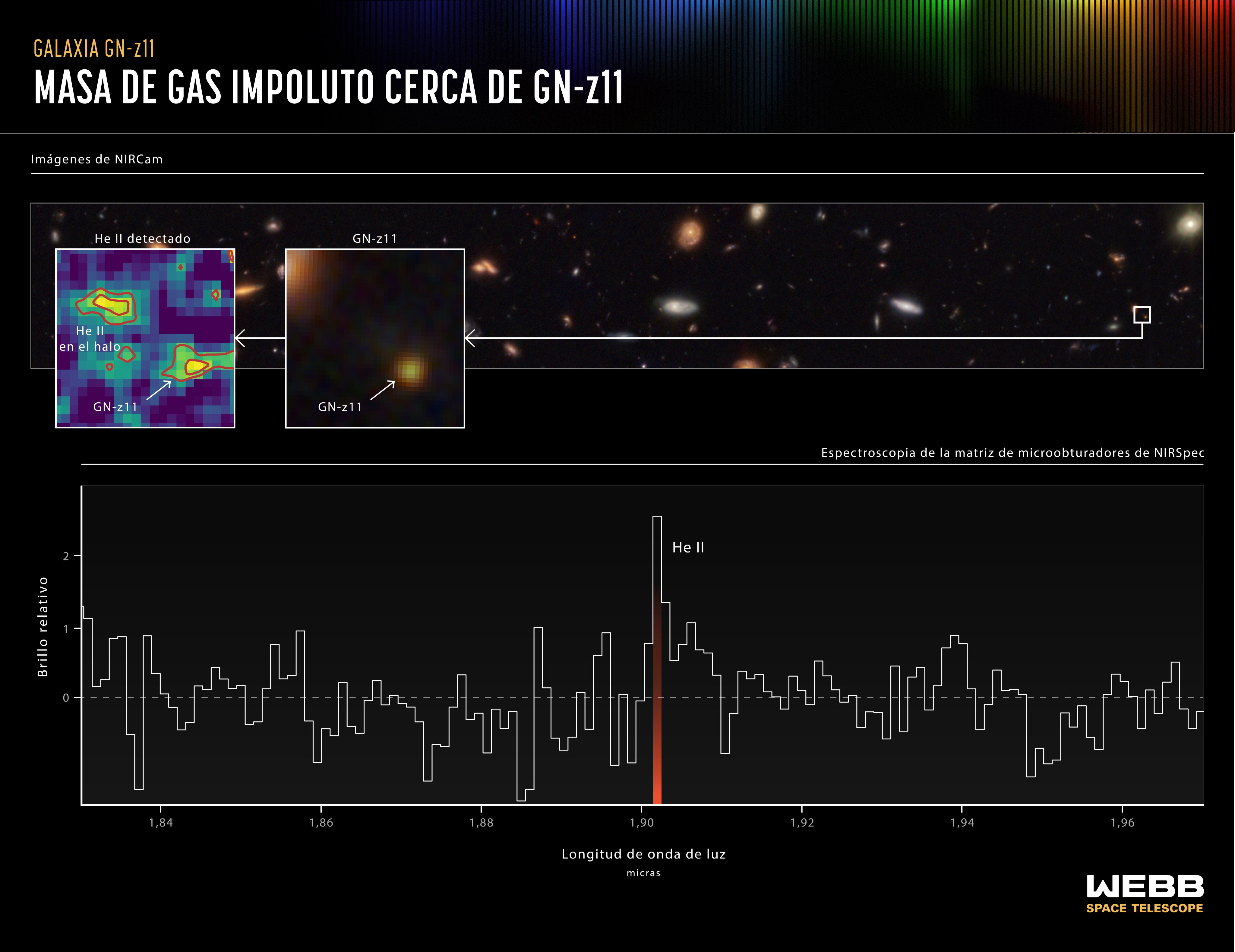 Esta gráfica dividida en dos partes muestra evidencia de una masa gaseosa de helio en el halo que rodea a la galaxia GN-z11. En la parte superior, en el extremo derecho, un pequeño recuadro identifica a GN-z11 en un campo de galaxias. El recuadro central muestra una imagen ampliada de la galaxia. El recuadro en el extremo izquierdo muestra un mapa del gas helio en el halo de GN-z11, incluyendo una masa gaseosa que no aparece en la vista de colores infrarrojos que se muestran en el panel central. En la mitad inferior de la gráfica, un espectro muestra la “huella” distintiva del helio en el halo. El espectro completo no muestra evidencia de otros elementos, por lo que sugiere que la masa de helio debe ser relativamente impoluta, hecha de hidrógeno y helio gaseoso sobrante del Big Bang, sin mucha contaminación de elementos más pesados producidos por las estrellas. La teoría y las simulaciones desarrolladas en las cercanías de galaxias particularmente masivas de estas épocas predicen que debería haber bolsas de gas impoluto que sobreviven en el halo, y estas pueden colapsar y formar cúmulos de estrellas de la población III.