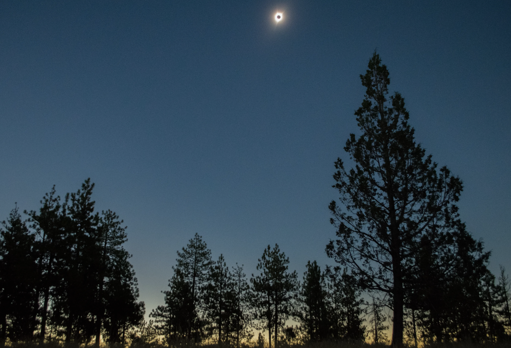 En esta imagen, se ve cómo eclipse solar total del 21 de agosto de 2017 baña en sombras el bosque nacional de Umatilla [en Estados Unidos], oscureciendo el cielo y bordeando el horizonte con una puesta de sol de 360 grados.