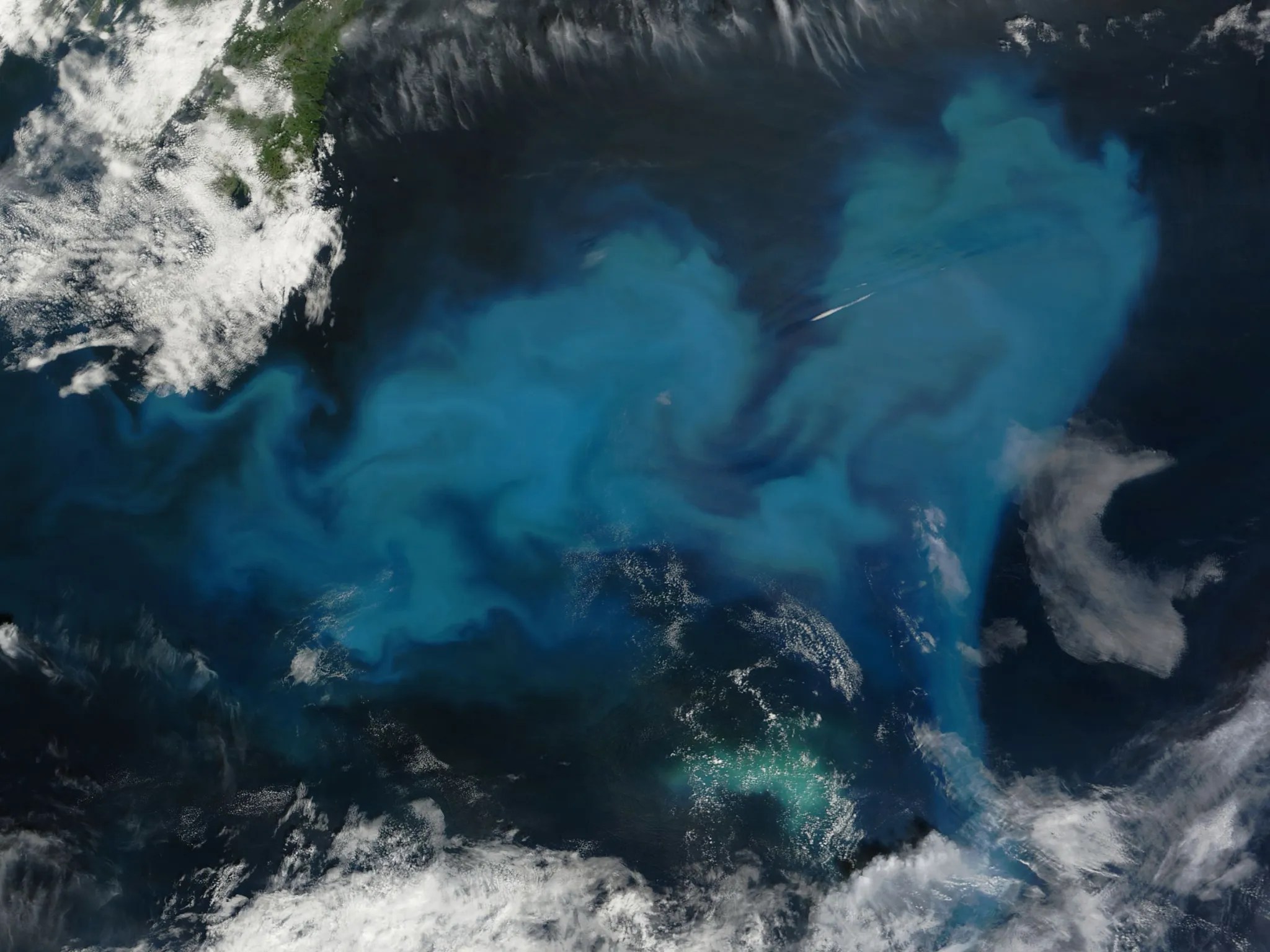 Imagen de proliferación de fitoplancton en el océano Atlántico Norte, captada por MODIS.
