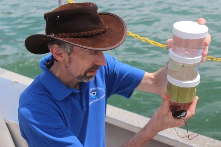 Richard Stumpf examina el agua de las redes de arrastre de plancton en el lago Erie recolectada a principios del verano de 2023. 