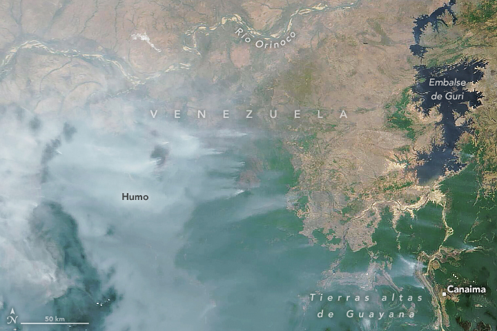 Esta imagen, adquirida por el instrumento MODIS a bordo del satélite Terra de la NASA, muestra varios incendios grandes y humeantes al sur del río Orinoco el 26 de marzo de 2024. Las zonas marrones en la parte norte de la imagen son una porción de los Llanos, una sabana casi carente de árboles, cubierta de llanuras que se inundan estacionalmente y pastizales para el ganado. Las zonas verdes en la parte sur de la imagen son selvas tropicales que se extienden por los márgenes de las tierras altas de Guayana, una meseta que cubre la mitad sur de Venezuela.