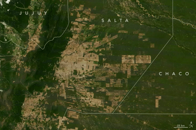 Estas imágenes de MODIS muestran la deforestación ocurrida en la provincia argentina de Salta, la cual forma parte del Gran Chaco, entre diciembre de 2000 (primera imagen) y diciembre de 2019 (segunda imagen).