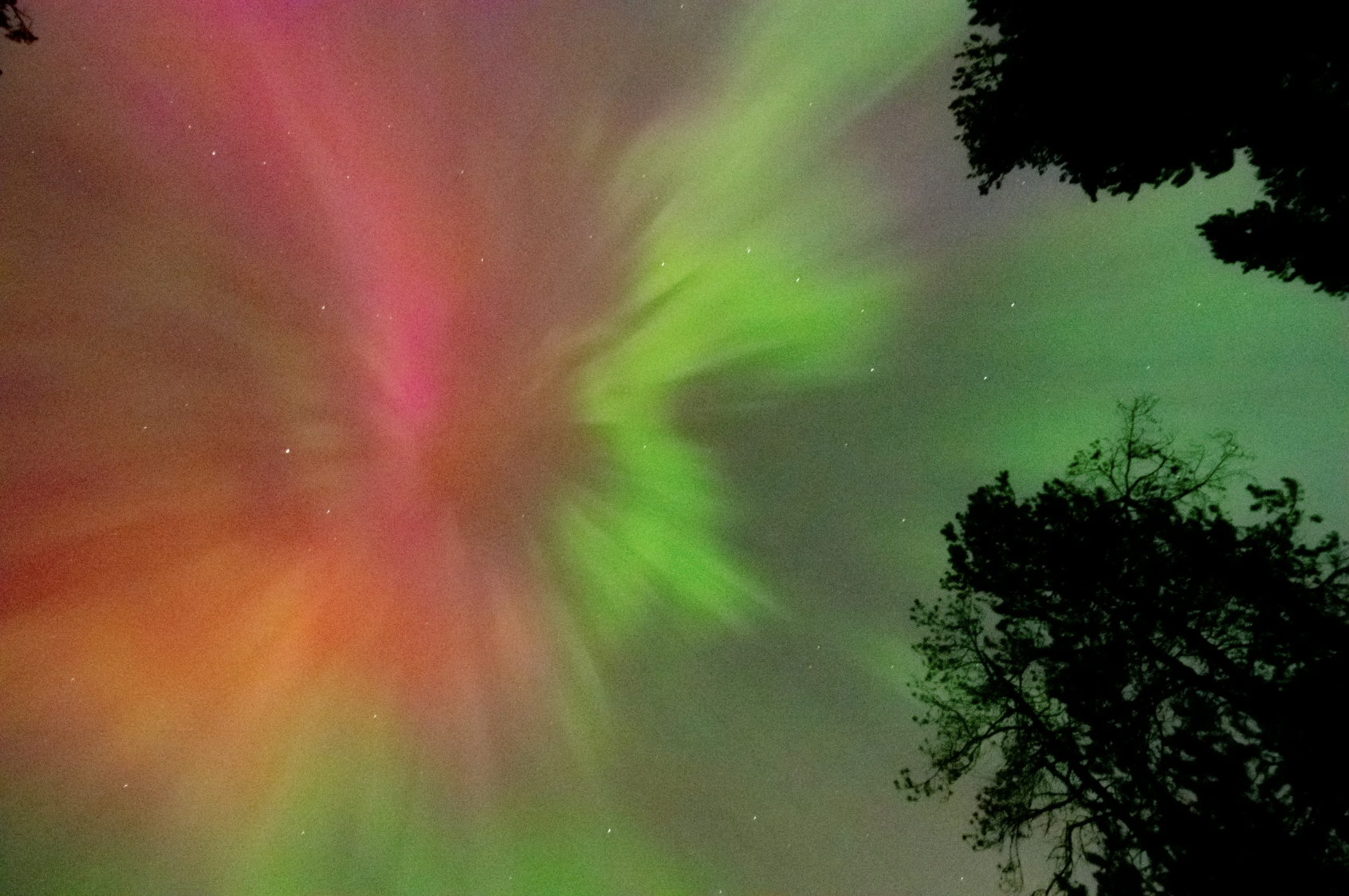 Las franjas rojas y verdes de una aurora irradian desde el centro de la foto. En el borde se alinean las siluetas negras de árboles.