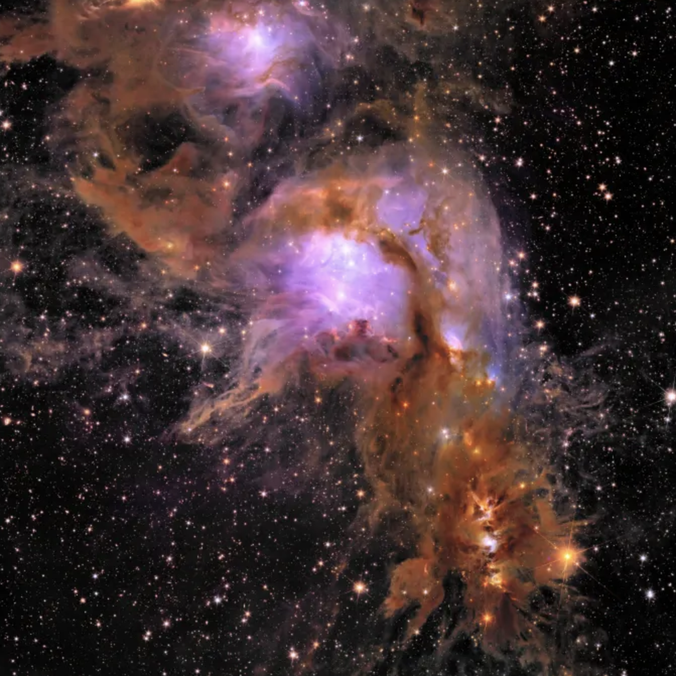 Esta imagen muestra a Messier 78，un vivero de formación de estrella envuelto en polvo interestellar，situado a 1300 años luz de la Tierra。