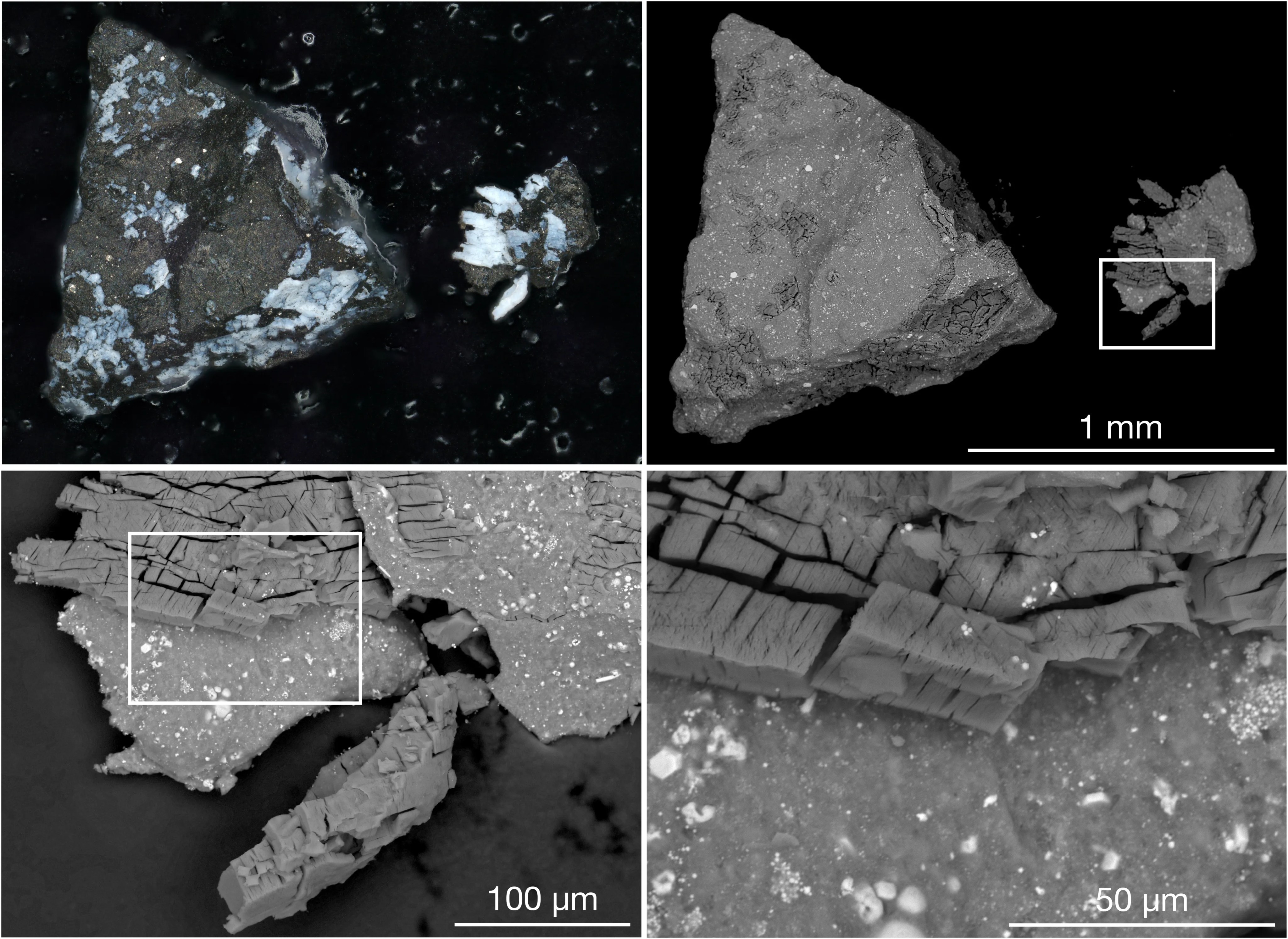 Una muestra microscópica del asteroide Bennu, recolectada por la misión OSIRIS-REx de la NASA.