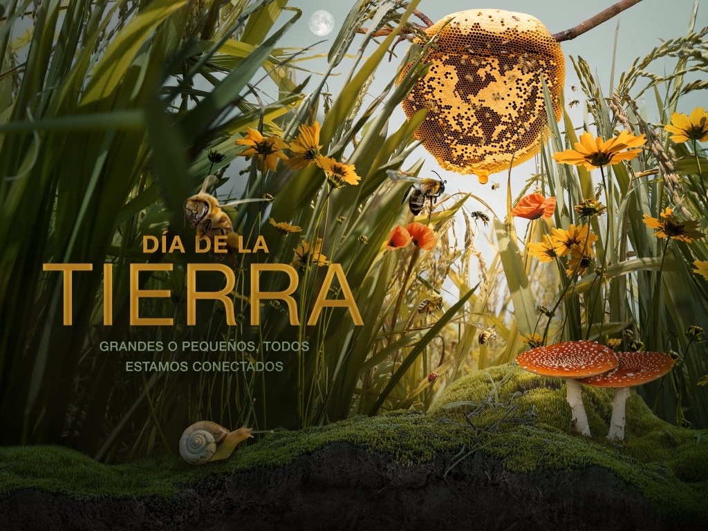 Portada del póster del Día de la Tierra 2021.