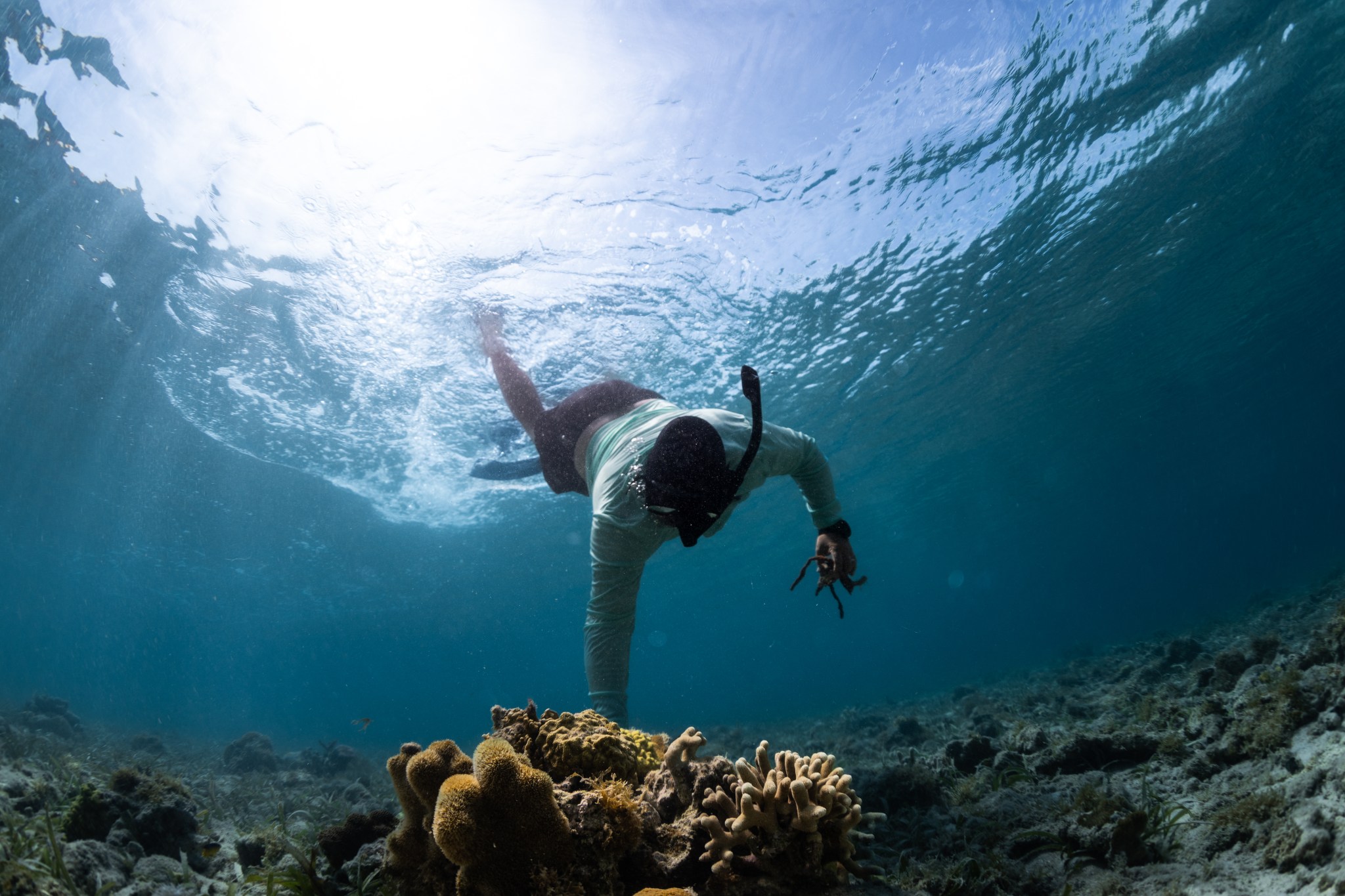 Un participante del programa OCEANOS está sumergido en el agua observando corales.