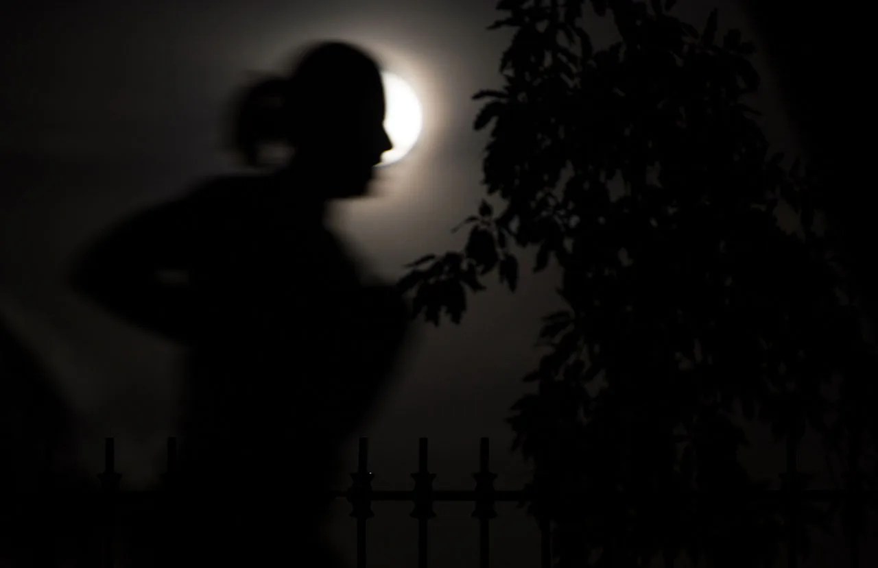 Una superluna se eleva sobre Parque Central en la ciudad de Nueva York en 2015.