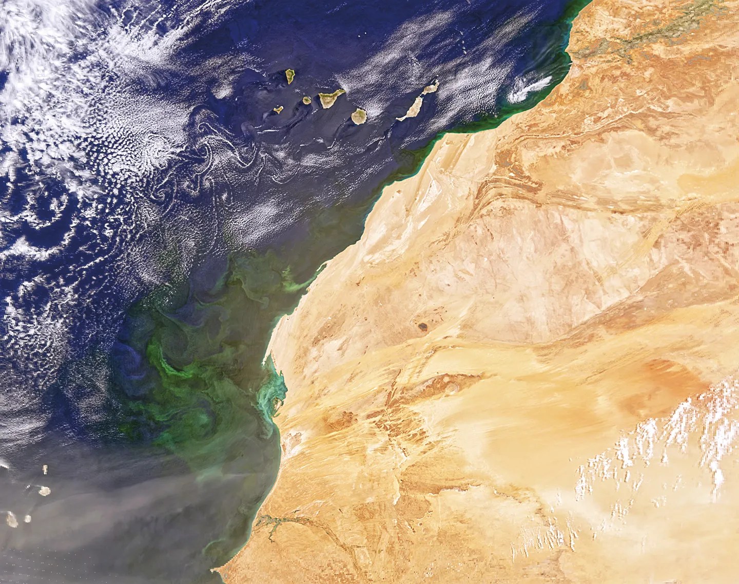 Una vista satelital de tierra y mar.