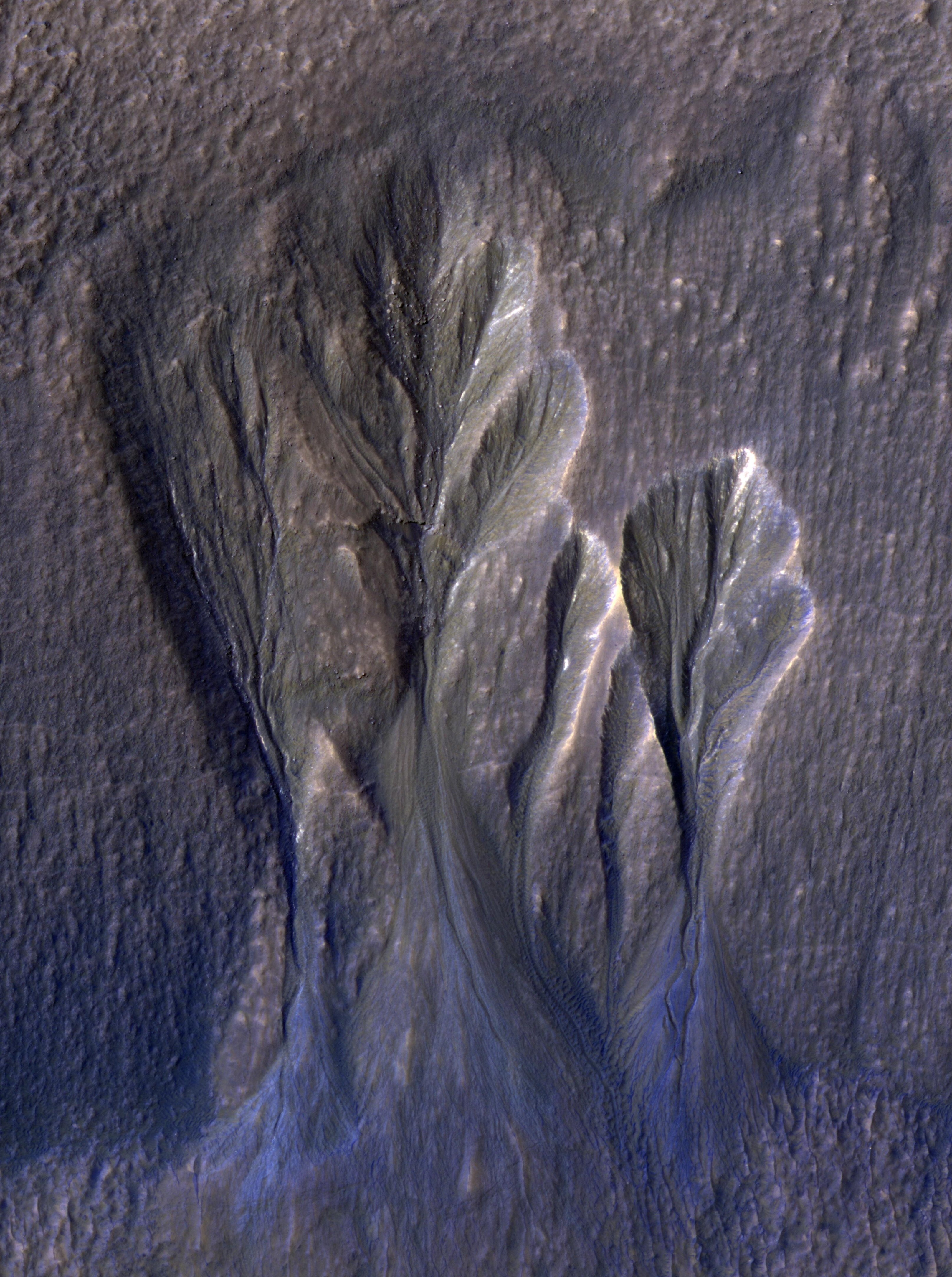 Esta imagen en blanco y negro muestra una hondonada en suelo marciano. Se cree que los bordes blancos a lo largo de estas hondonadas en Terra Sirenum, en Marte, son hielo de agua con polvo.